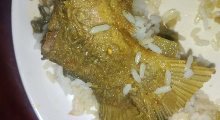 গোবিপ্রবি'র হলে নিষিদ্ধ পিরানহা মাছ পরিবেশন,ক্ষুব্ধ শিক্ষার্থীরা